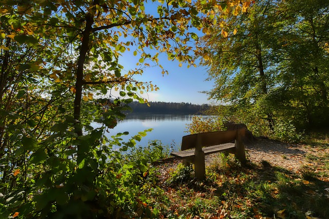 视觉盛宴 视觉盛宴