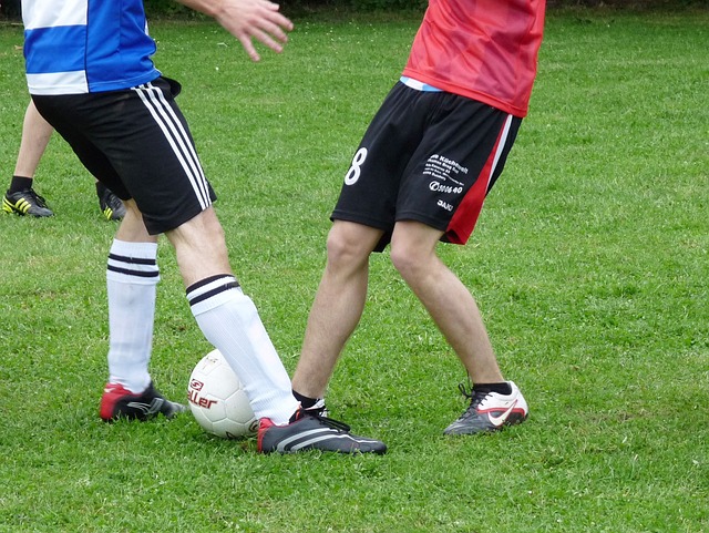 过往战绩的 过往战绩的