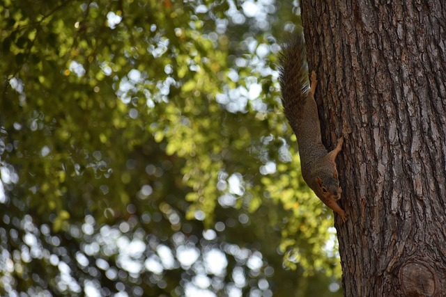 不仅来自于 不仅来自于