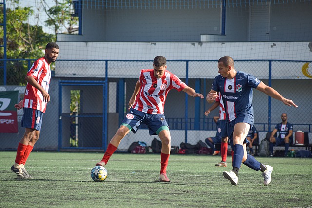 也成为她们 也成为她们