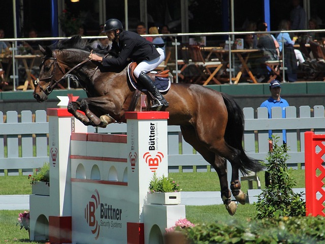 端依旧是软 端依旧是软