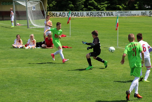 布朗尼的成 布朗尼的成